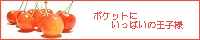 |Pbgɂς̉ql
